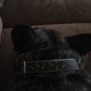 Meet your Posher, Toby